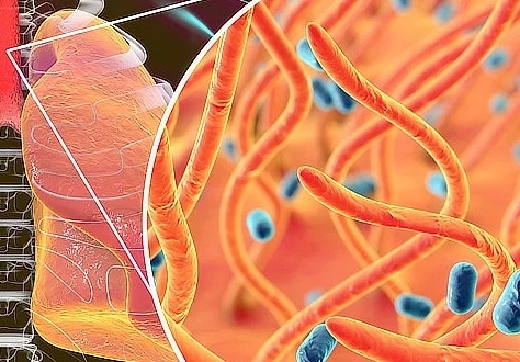 Očkování proti černému kašli Očkování proti černému kašli